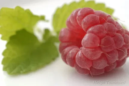 Малина для домашнего огорода