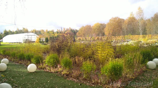 see on üks teine tore koht