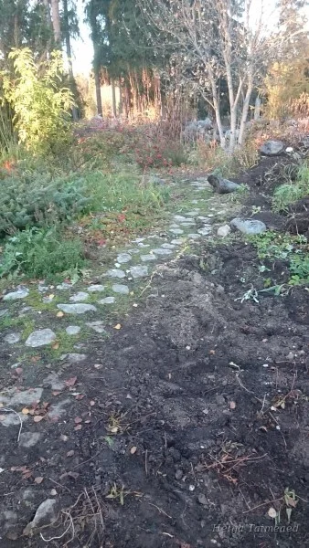 Новый тротуар