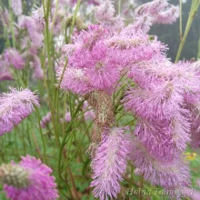 Красные кнопки